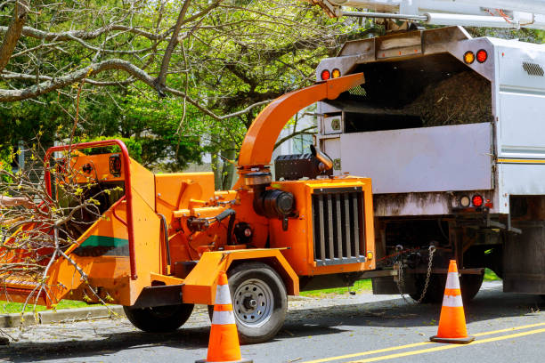 North Plainfield, NJ  Tree Services Company